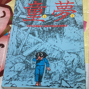 동몽 오토모 카츠히로 만화