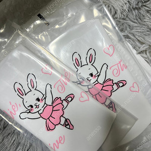 헤이엄 수모 발레토끼
