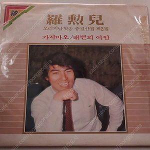 가요, 팝송 LP 나훈아, 레인보우, 그리스, 헬러윈, 이니그마, 천축(실크로드), 대황하2