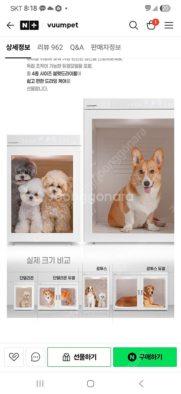 붐펫 단델리온 구합니다--0