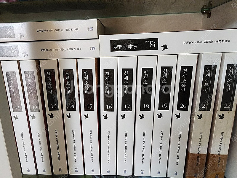 로맨스 판타지 소설책 로판 천재소독비 판매합니다.--1