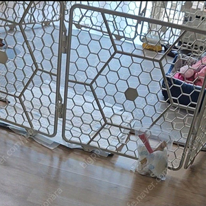 강아지울타리