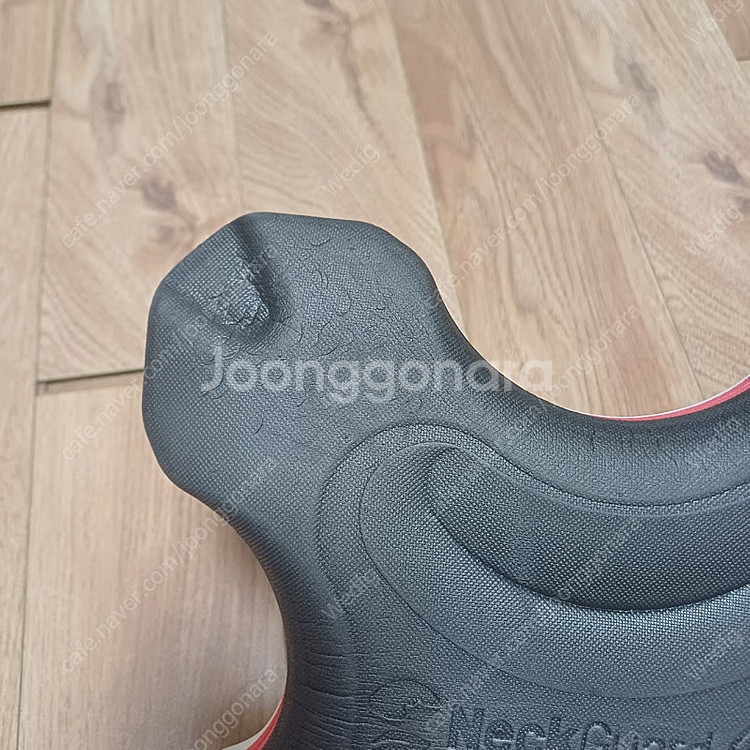 백지영 넥가드--4