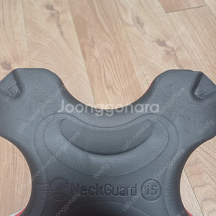 백지영 넥가드--5