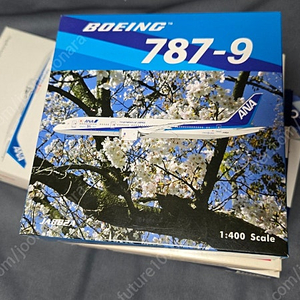 1:400 ANA B787 JA882A