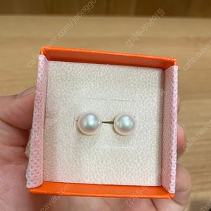 14k 진주귀걸이