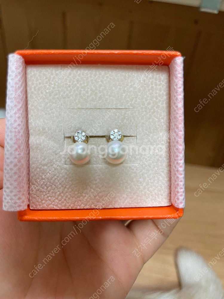 14k 진주귀걸이--0