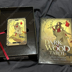 다크우드 타로카드