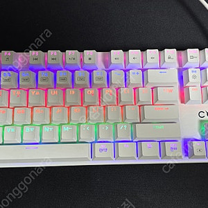 콕스 COX CK420 교체축 레인보우 LED 게이밍 조약돌 기계식 키보드 (화이트청축)
