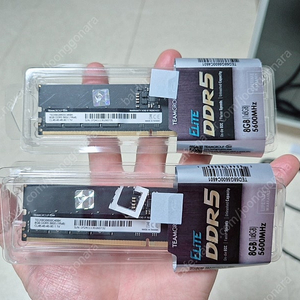 팀그룹 ddr5 5600 8gb 2장 (합16기가) 하이닉스A다이
