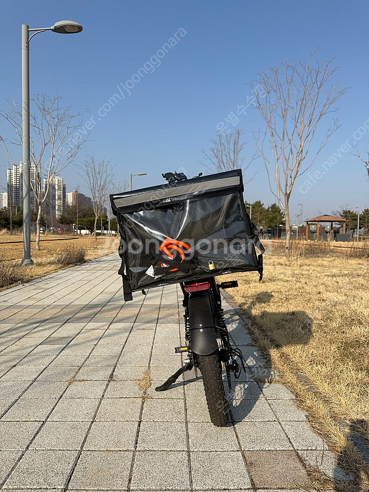 전기자전거 스카닉 m20 MAX 800w 48v 20a...--2