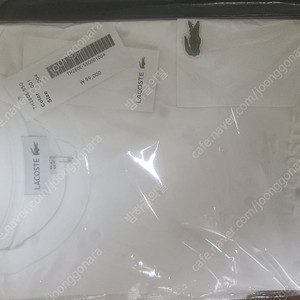 라코스테 반팔티 화이트 블랙