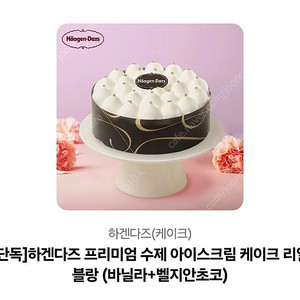 하겐다즈 프리미엄 수제 아이스크림 리얼블랑