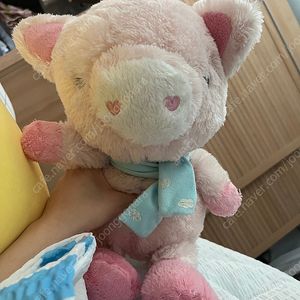 돼지인형 구해요 (사진첨부)