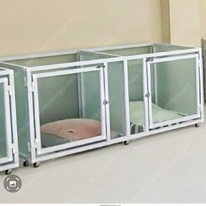 애견대기장.호텔장