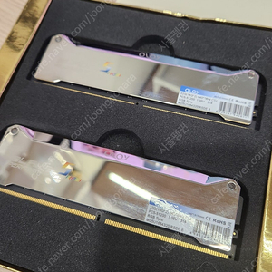 OLOY DDR5 32GB(16X2) 6400 C32 미어 램 팝니다