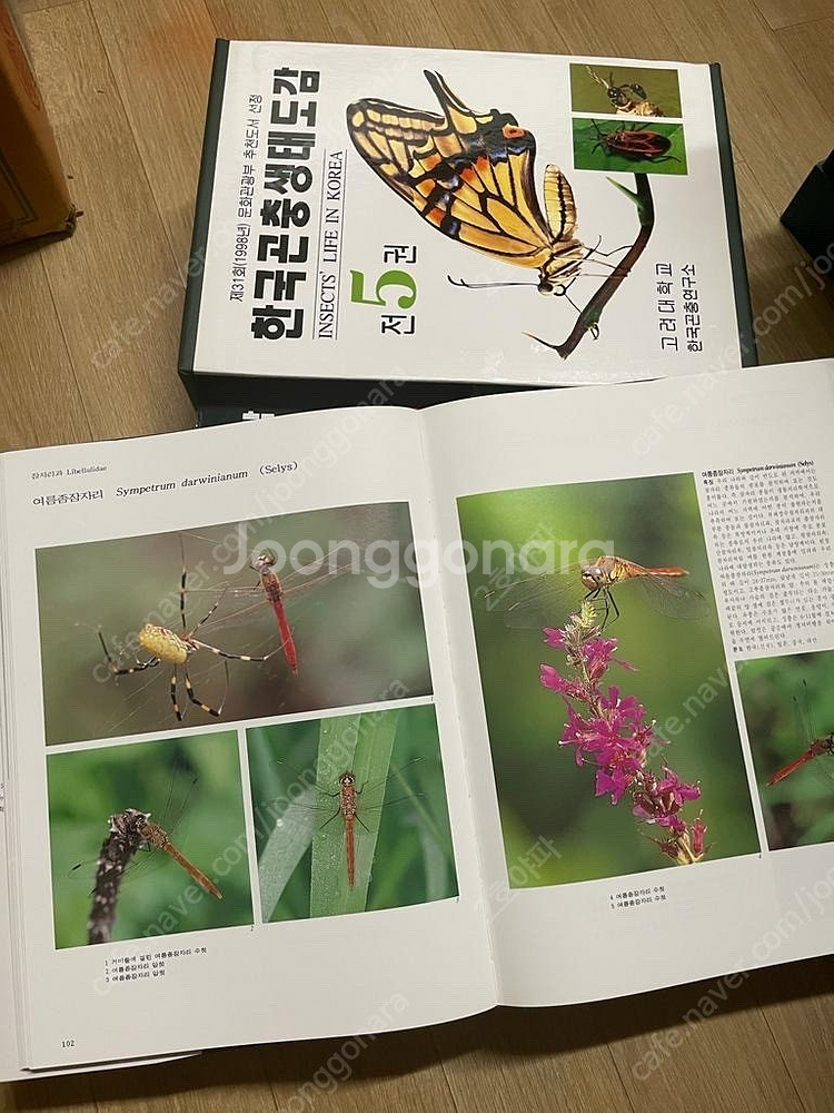 한국곤충생태도감(고려대학교 한국곤충연구소)--5