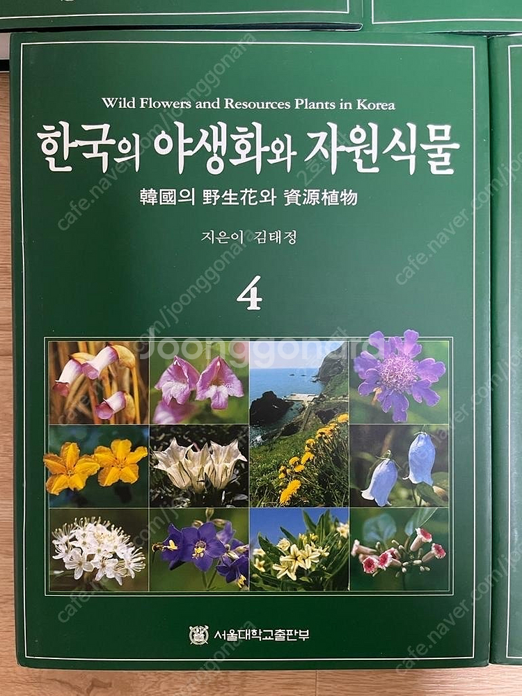 한국의 야생화와 자원식물(식물도감) 서울대학교출판--3