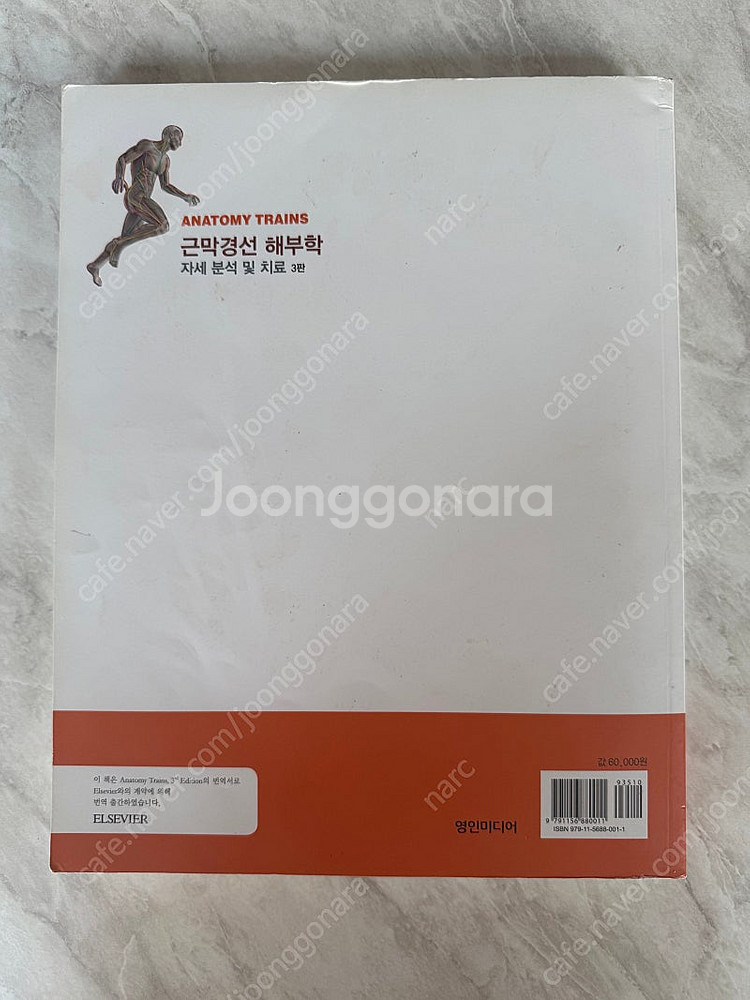 근막경선 해부학 3판 골프 아나토미 일괄--1