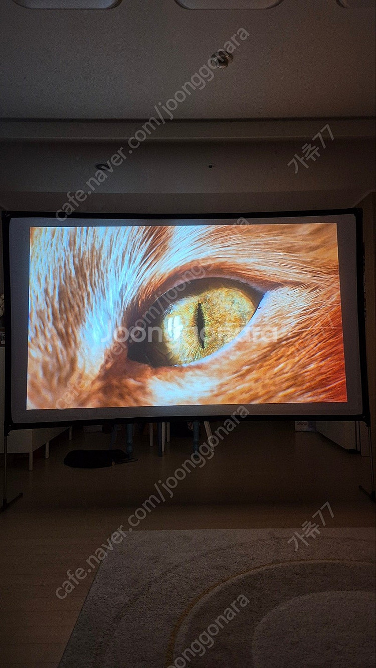LG 4K 프로젝터 HU80KA--4