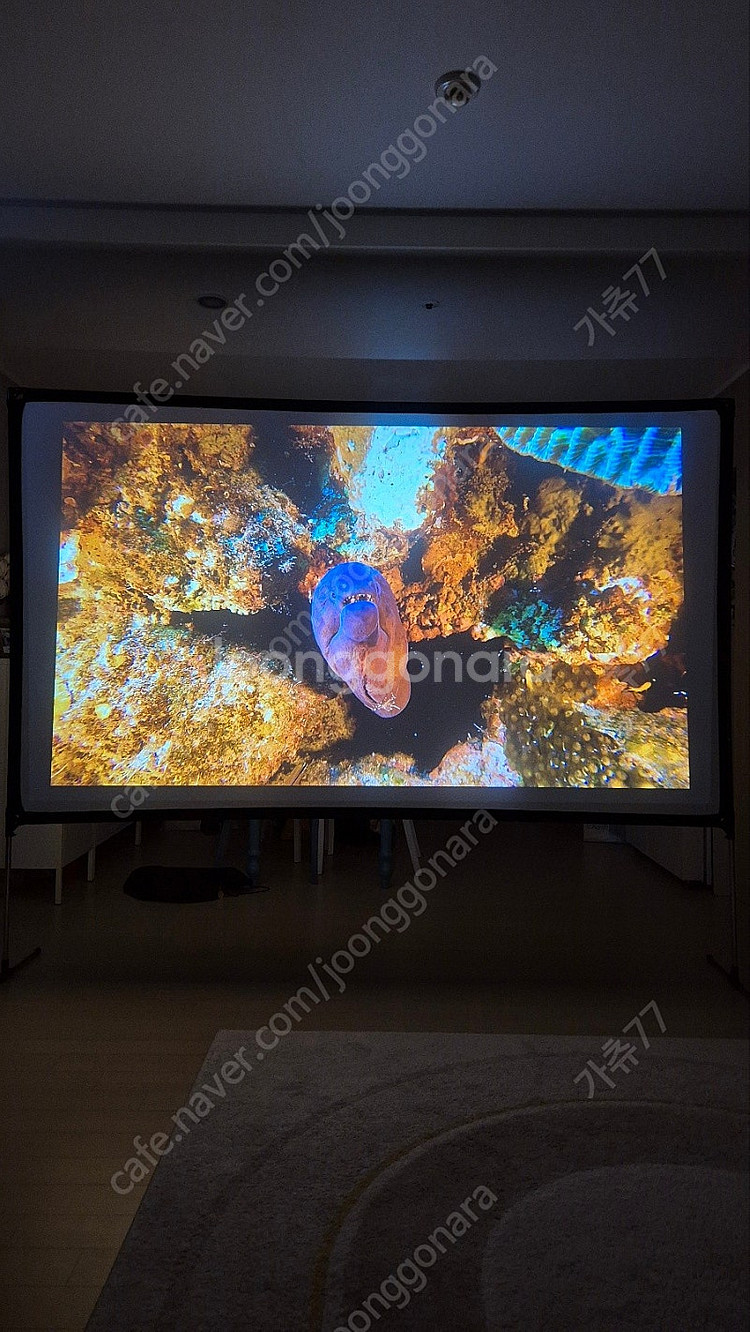 LG 4K 프로젝터 HU80KA--5