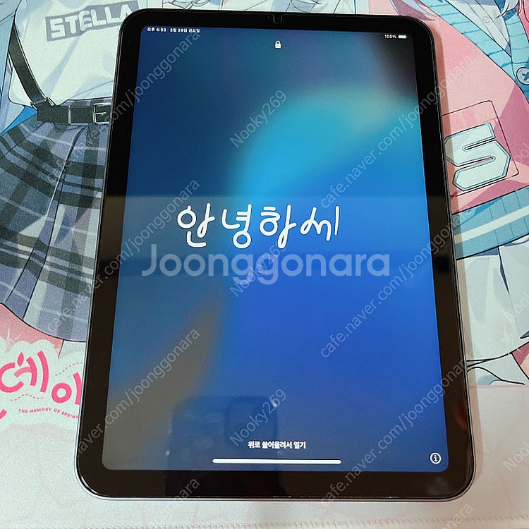 아이패드 미니 6세대 256GB wifi 퍼플--1