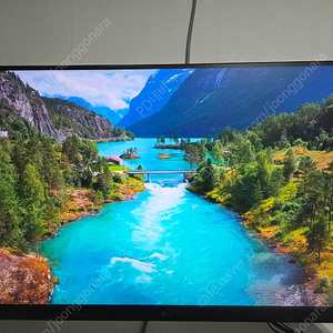 LG 게이밍 32인치 모니터 + 모니터암 (32gp850 + nb f100a)