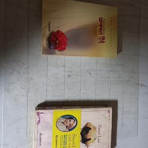 주드 데브루 잃어버린 약속 달콤한 거짓말쟁이 총2권 (배송비 별도)