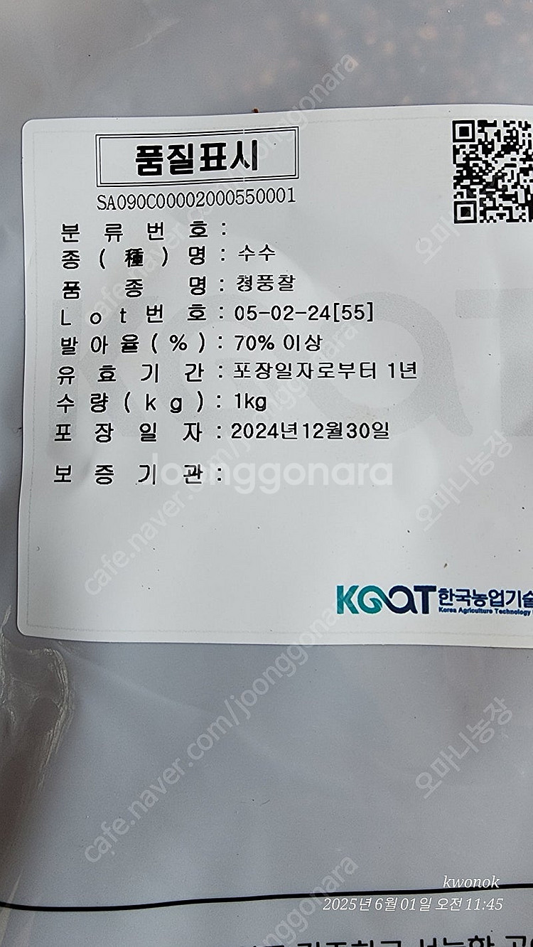 종자용 보급종 청풍찰수수 입니다--0