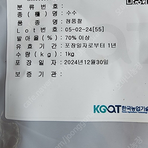 종자용 보급종 청풍찰수수 입니다