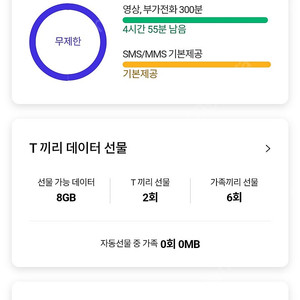 skt데이터 2기가판매 3000원