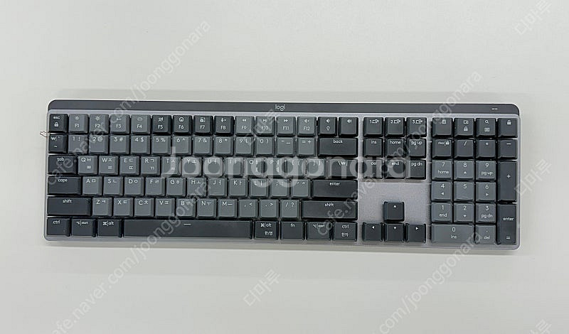로지텍 MX Mechnical (갈축) 55g 110키...--1