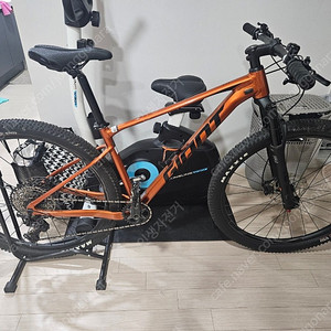 자이언트XTC MTB