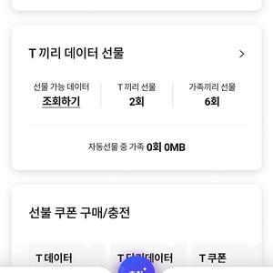 Skt 데이터 2기가 3000