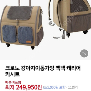 애견캐리어