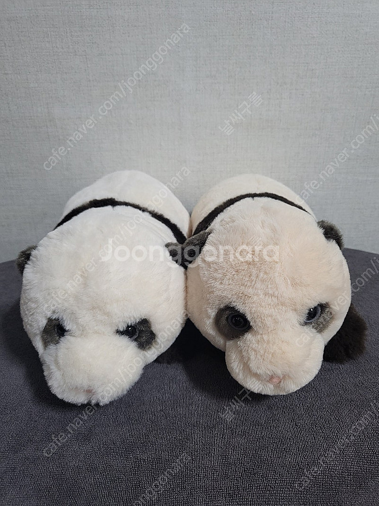 바오패밀리 루이후이 인형--0