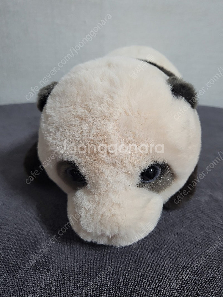 바오패밀리 루이후이 인형--1