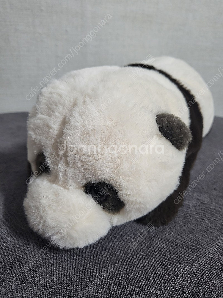 바오패밀리 루이후이 인형--3
