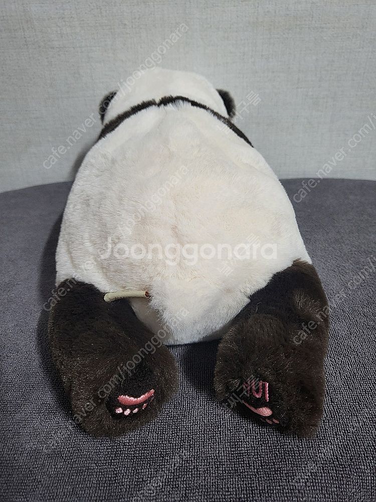 바오패밀리 루이후이 인형--4