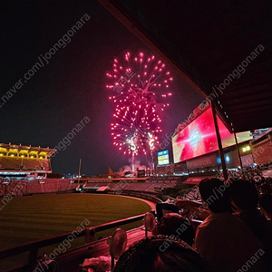 6/3(화)6/5(목) 대선공휴일 선거 SSG랜더스 삼성라이온즈 내야패밀리 바비큐존 바베큐존 스카이탁자 노브랜드 피코크테이블 1층테이블2층테이블 응원석 으쓱이존 덕아웃상단석 sky