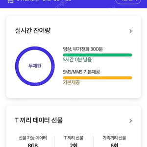 skt데이터 2기가