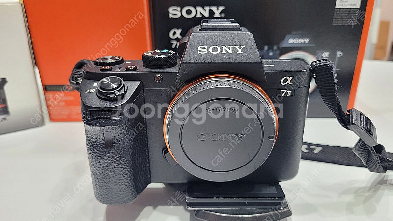 SONY A7M2 / SEL55F18Z / 삼양 12m...--4