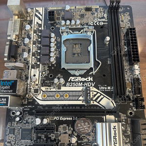 ASRock B250M-HDV
