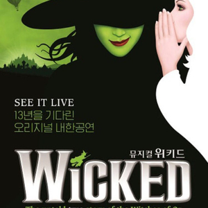 <정가양도> 뮤지컬 위키드 내한 공연 7월 15일(화) 19:30 VIP석 1장