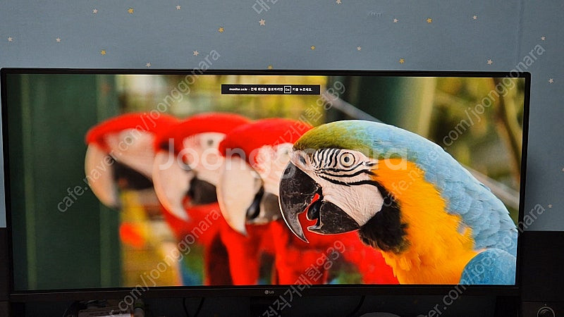 LG 울트라와이드 모니터 21:9, 34UC89G 영상...--5