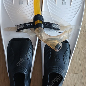 마레스롱핀뉴클리퍼