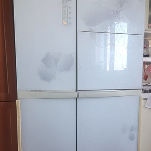 LG 디오스 양문형 냉장고 760L (R-T761PHHGR) 판매합니다!