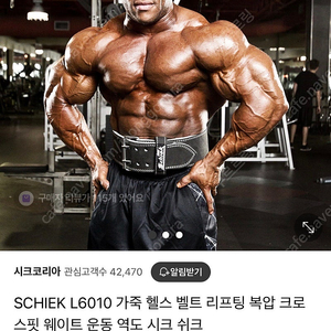 [M]쉬크 헬스 웨이트 허리 복압벨트 새상품