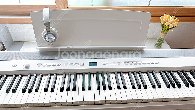 다이나톤 DPP-510--1