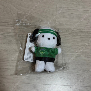 전북현대 포차코 키링 새상품